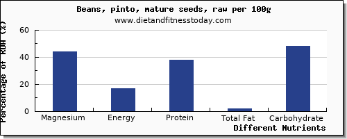 chart to show highest magnesium in pinto beans per 100g